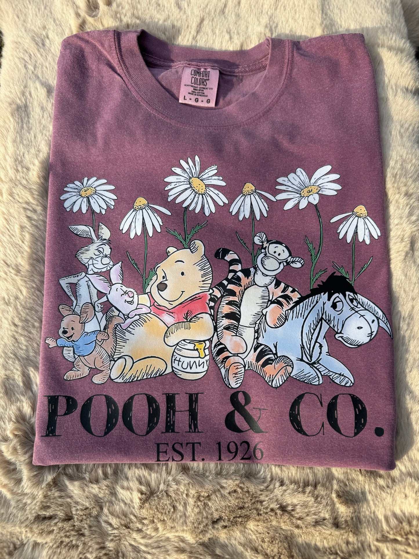 Pooh and co (dtf)