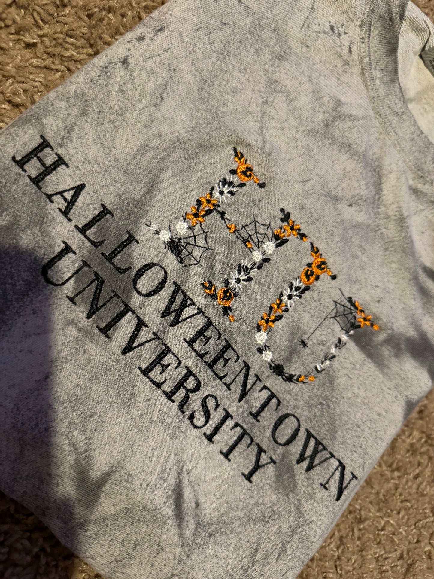 🕸️HU🕸️ Halloweentown University (youth & adult)