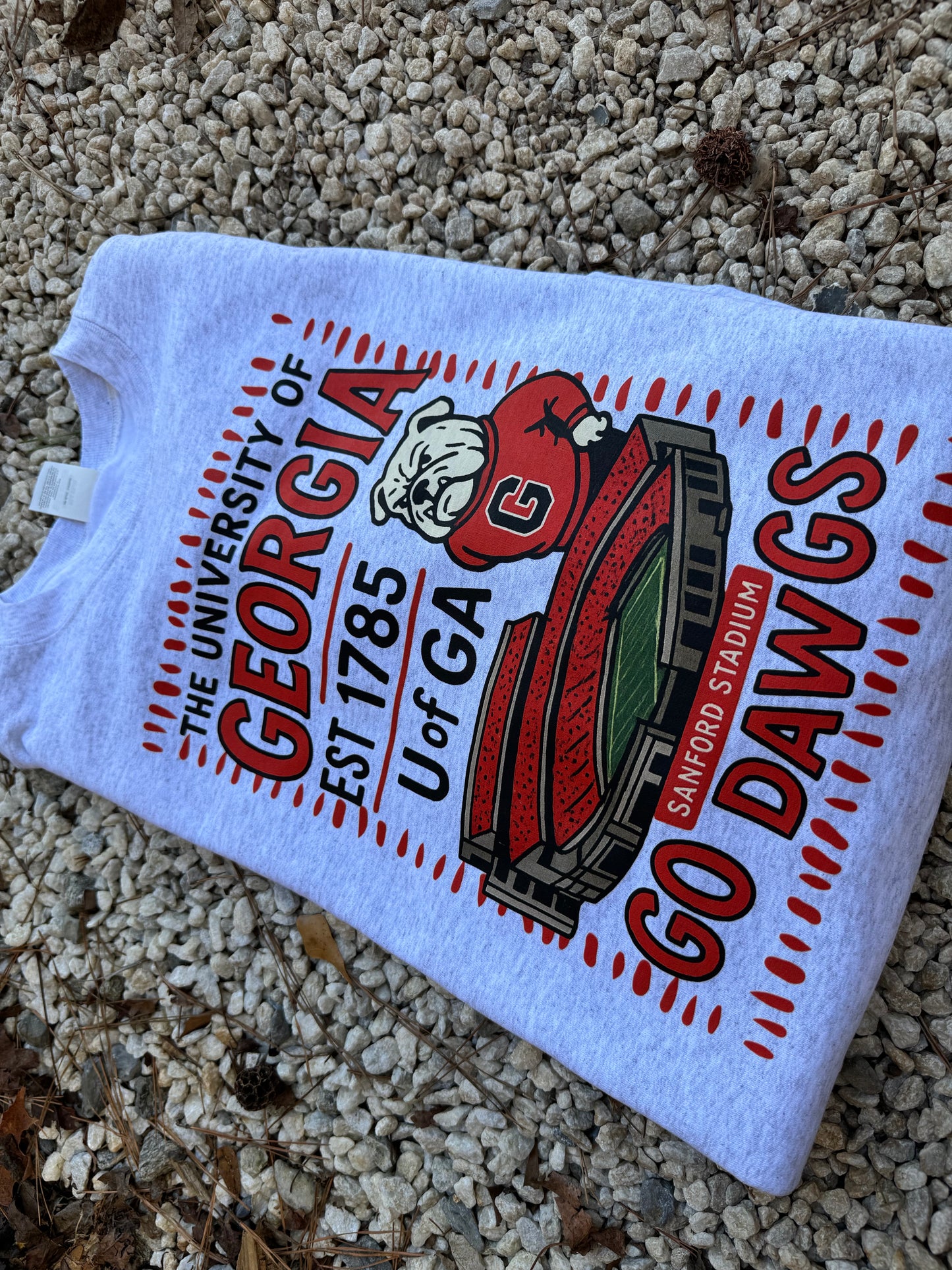 Ga bulldogs stadium (dtf)