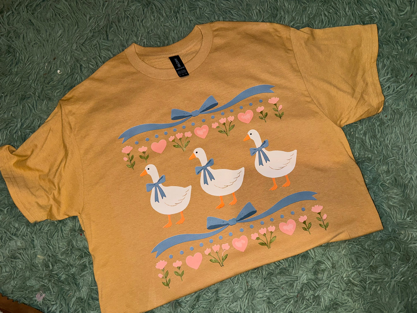 Vintage ducks (dtf)