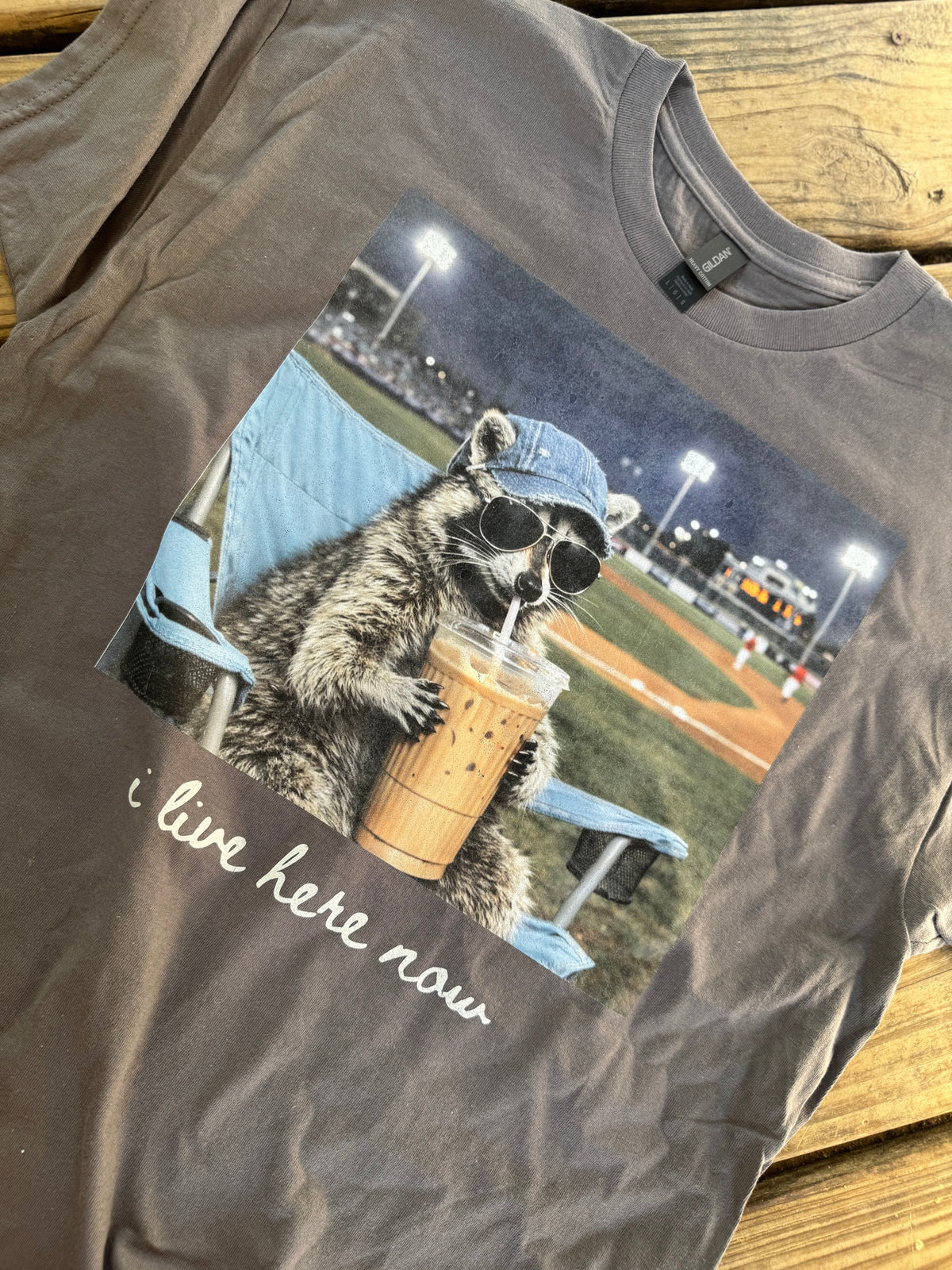 BALL-FIELD I live here now raccoon  (dtf transfer)