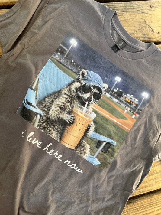 BALL-FIELD I live here now raccoon  (dtf transfer)