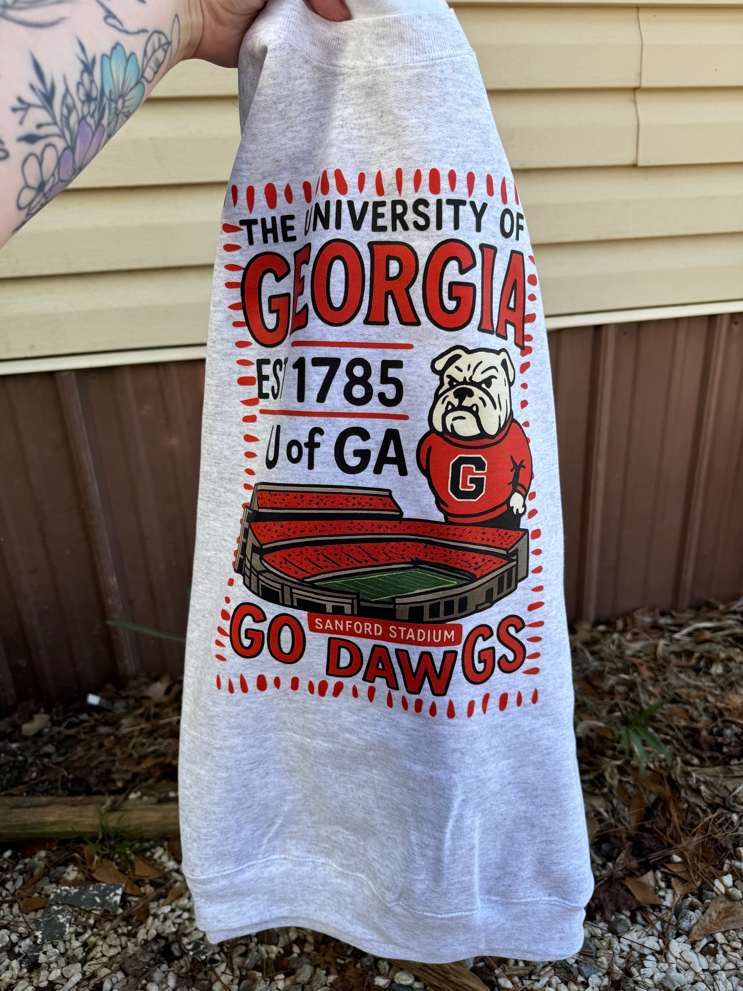 Ga bulldogs stadium (dtf)