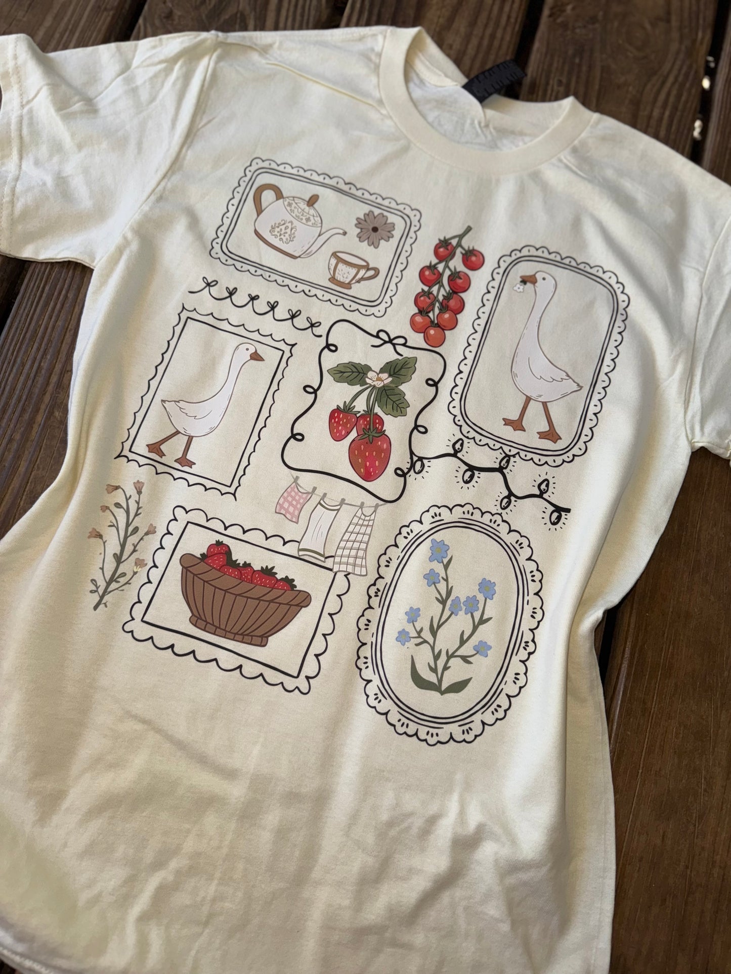 Gooses and strawberries (dtf)